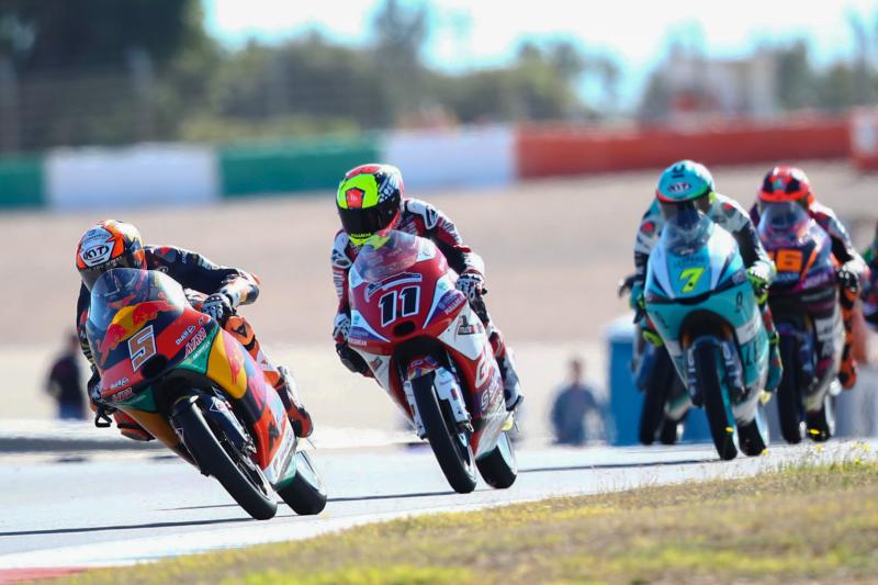 Veterans vs rookies: who will vie for victory in Qatar?