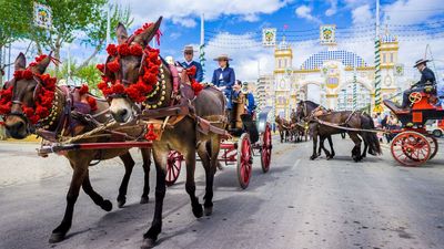 Destination Guide - Jerez