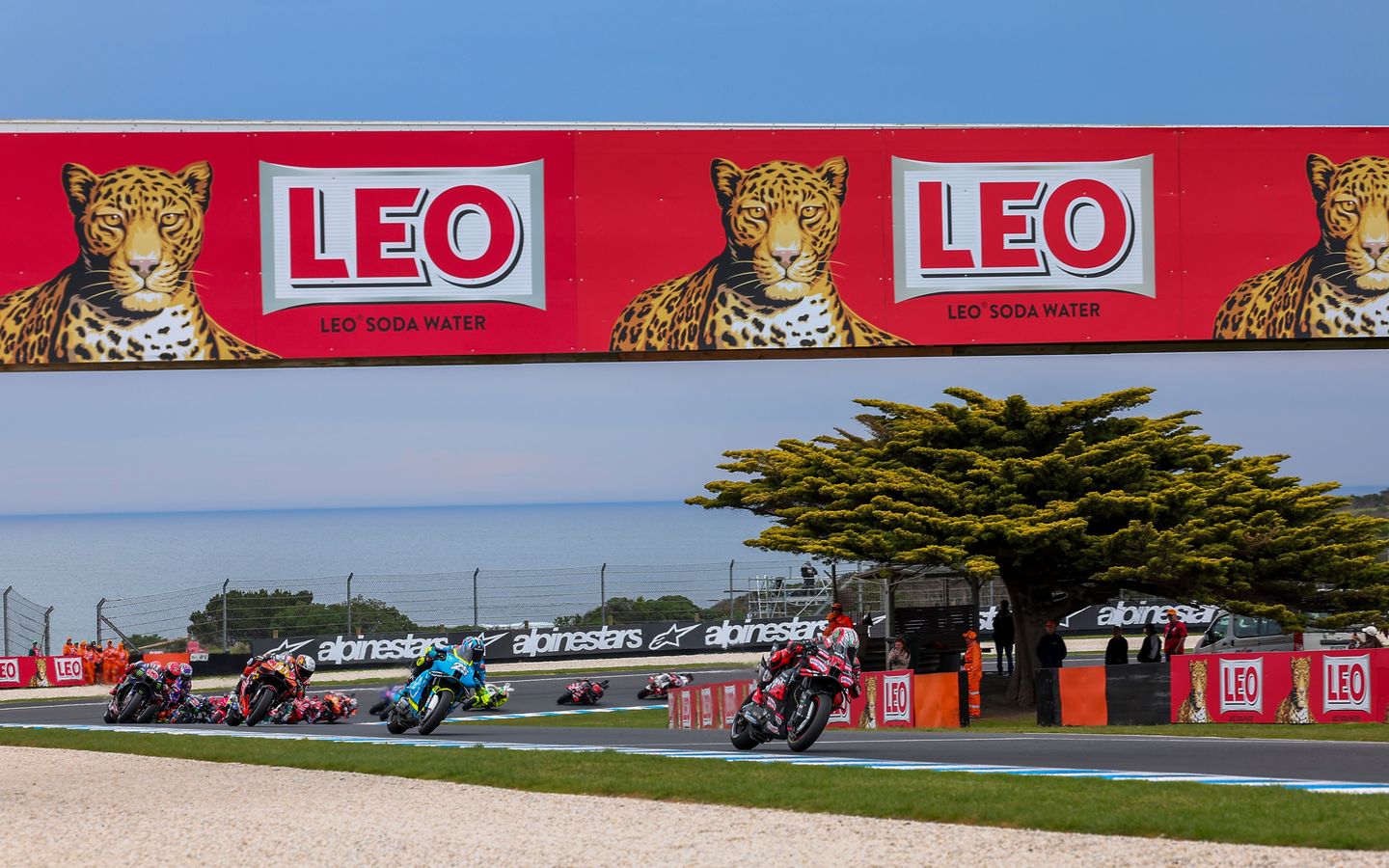 Marco Bezzecchi, Aprilia Racing, Liqui Moly Australian Motorcycle Grand Prix