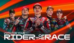 Rider of the race